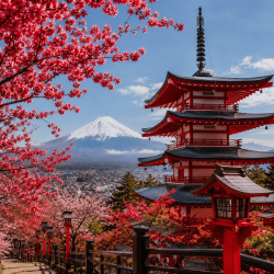 japon